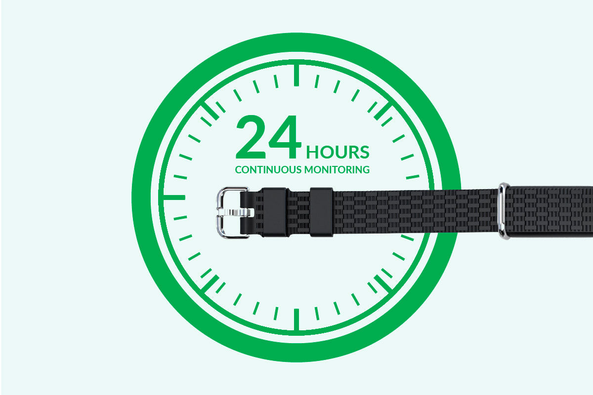 DEL 24-hour blood pressure monitoring at home