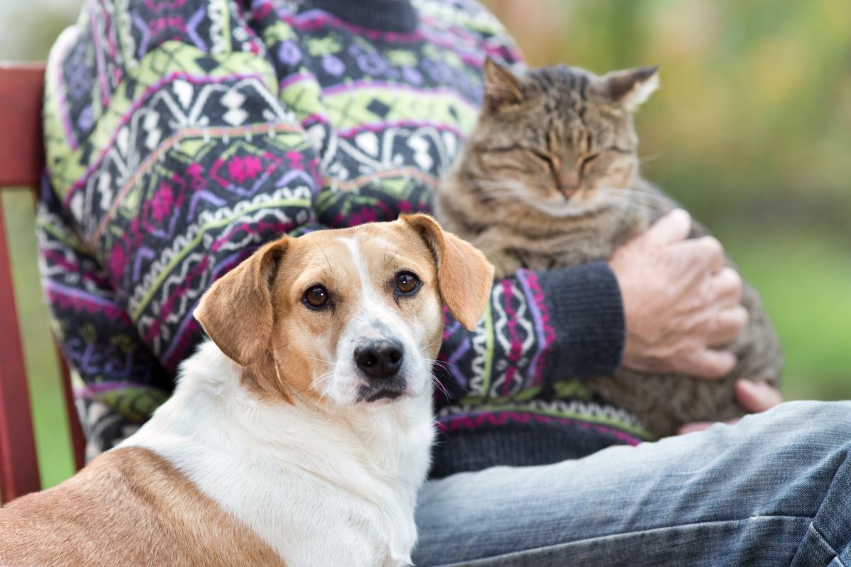 How Pets Pawsitively Impact Your Blood Pressure