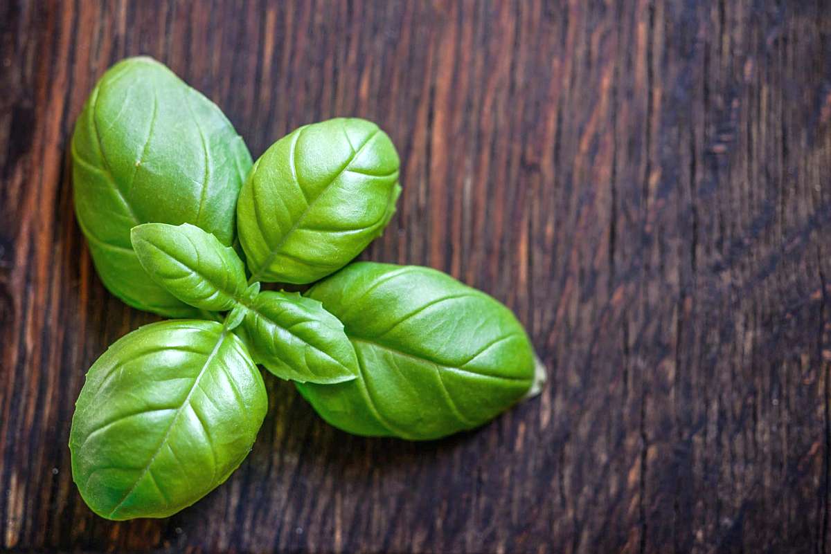 Herbs to lower blood pressure